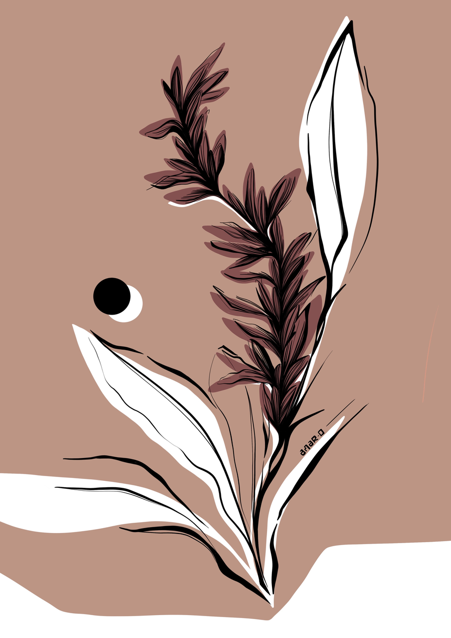 Alpinia