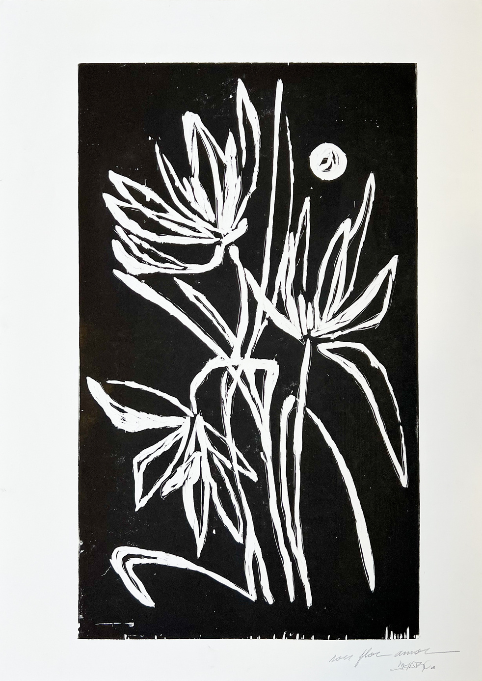 Sou Flor Amor · Primeiro estudo · Canson 180 g